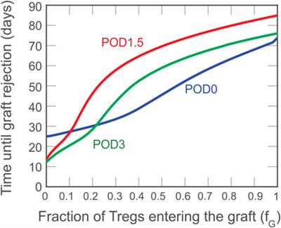 Modeling the Potential of Treg-Based Therapies for Transplant Rejection: Effect of Dose, Timing, and Accumulation Site